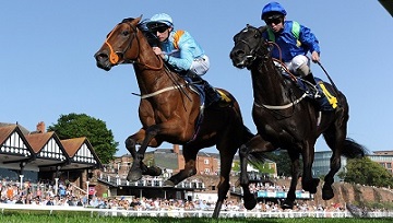 Chester Racecourse Planning to Welcome Back Visitors thumbnail image