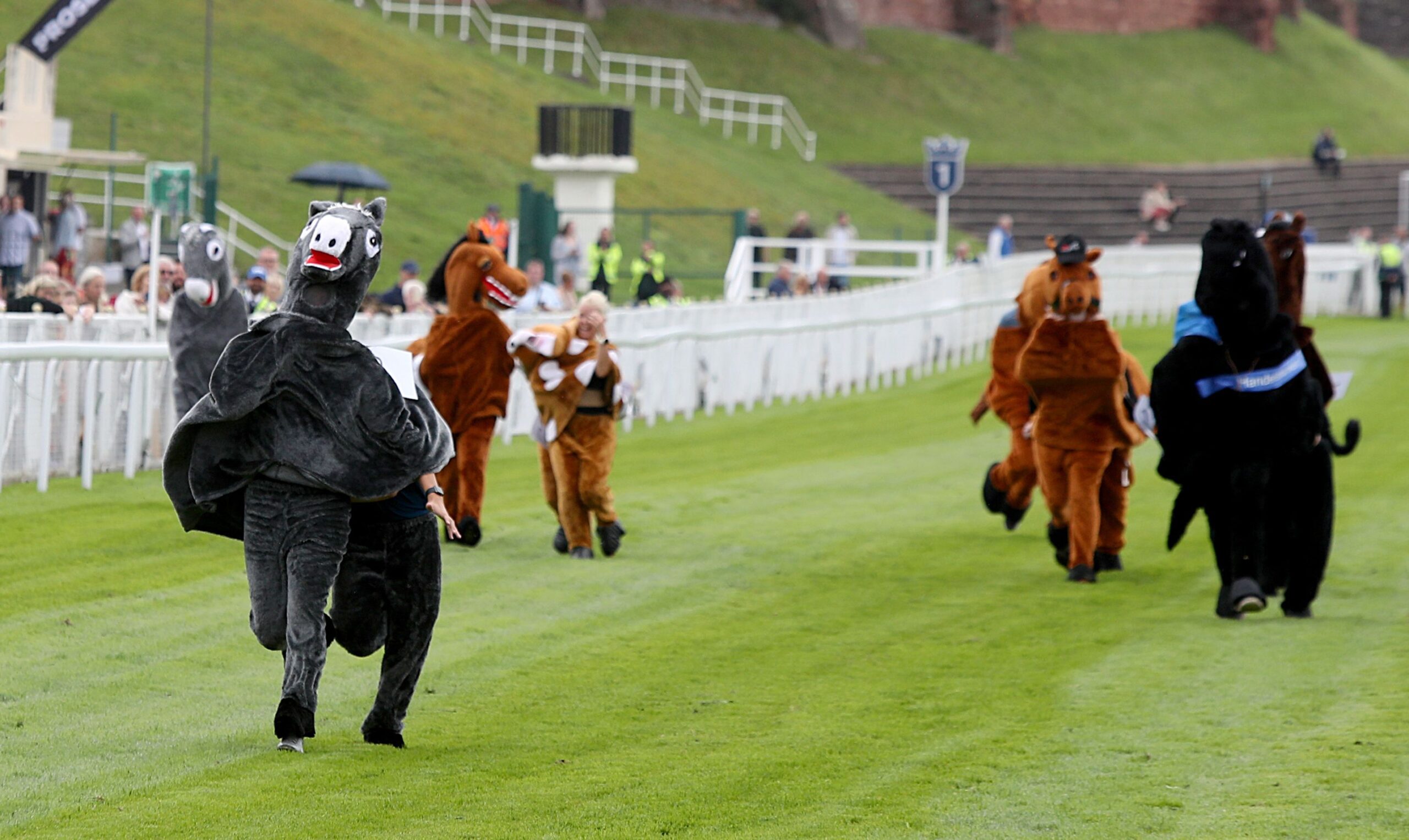 Hospice of the Good Shepherd Pantomime Horse Race at Liverpool John Lennon Airport Family Fun Day thumbnail image