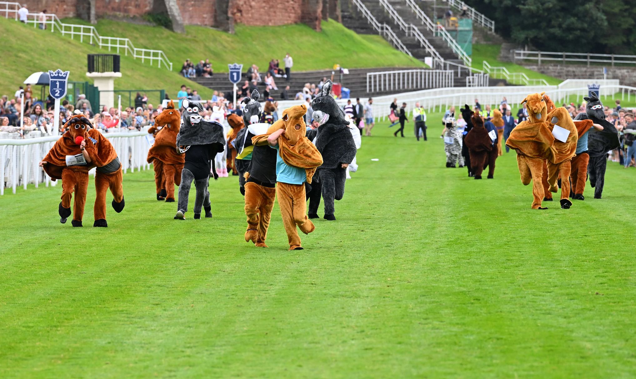 Pantomime Horse Race Raises More Than £40,000 for the Hospice of the Good Shepherd thumbnail image