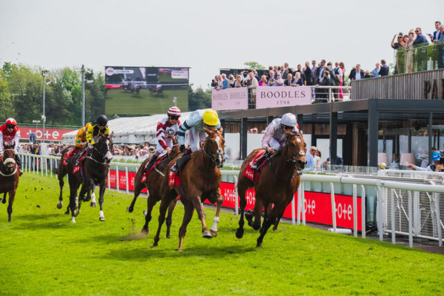 THE 2025 BOODLES MAY FESTIVAL COUNTDOWN IS ON🌸🥂

The countdown to an unforgettable May begins now! Whether it’s about indulging in luxury, enjoying the thrill of the races, or savouring every sparkling moment, our hospitality packages ensure your day is nothing short of extraordinary.

From exquisite dining to unparalleled views, let us take care of every detail so you can soak in the magic of Chester Races.

Don’t miss out – secure your exclusive experience today! Tap the link in our bio to reserve your place.✨